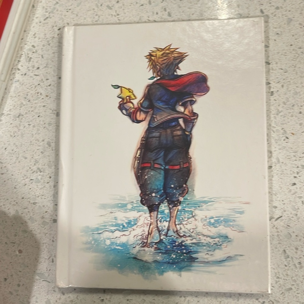 Book: ps2 kingdom hearts